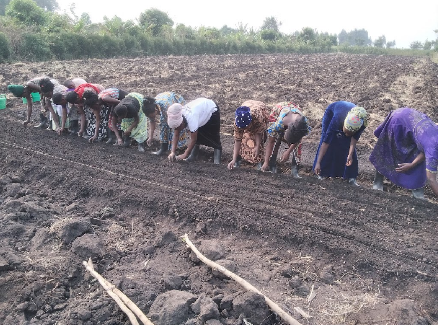 Ndongo United Herbalists Association