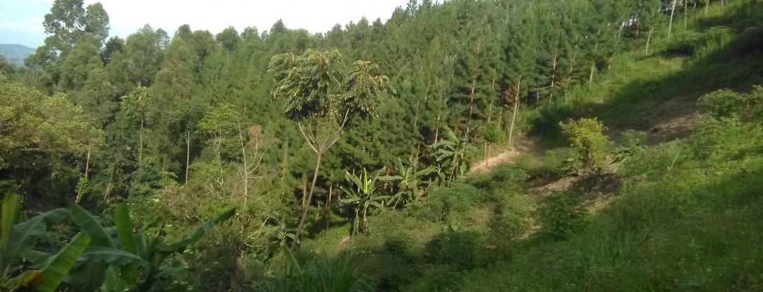 Natural Resource conservation purification