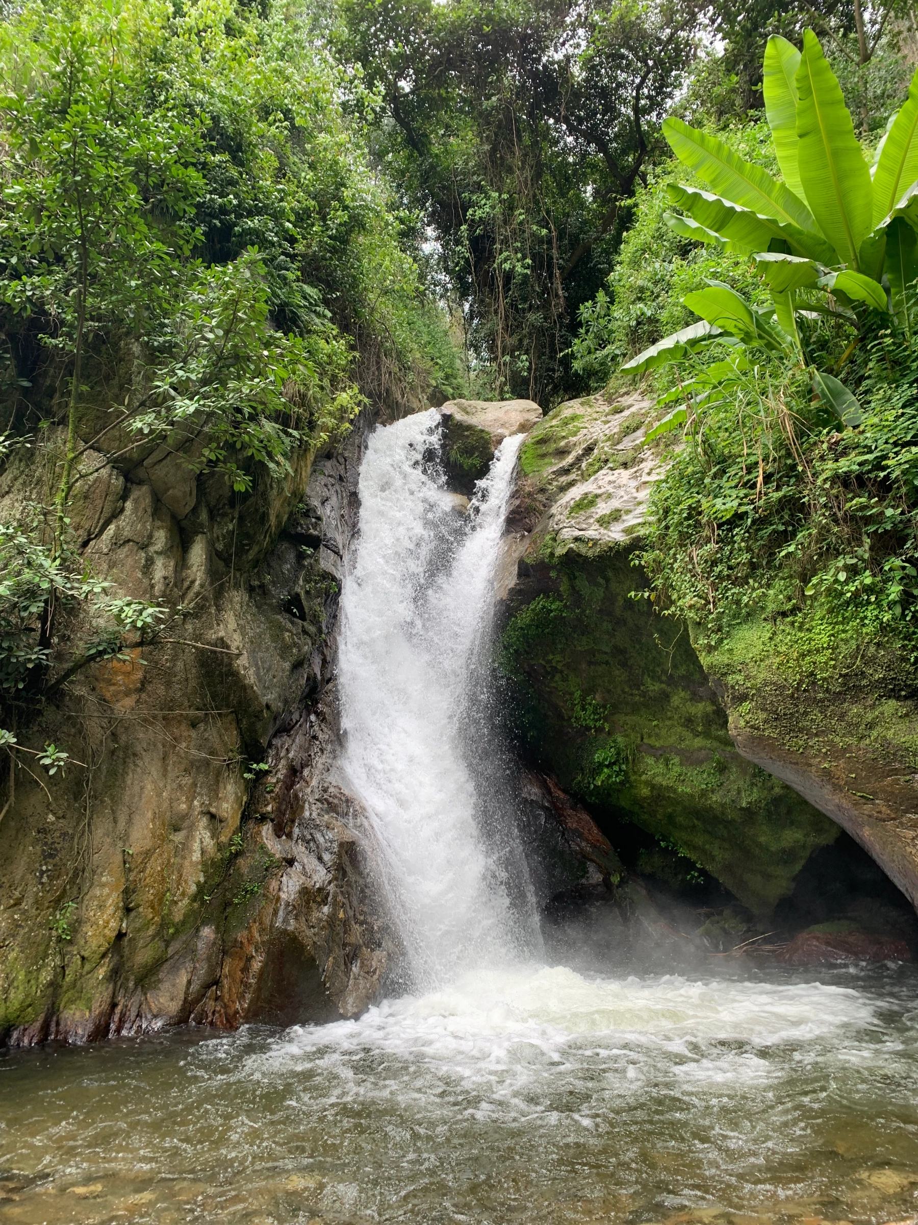 Natural Resource conservation 