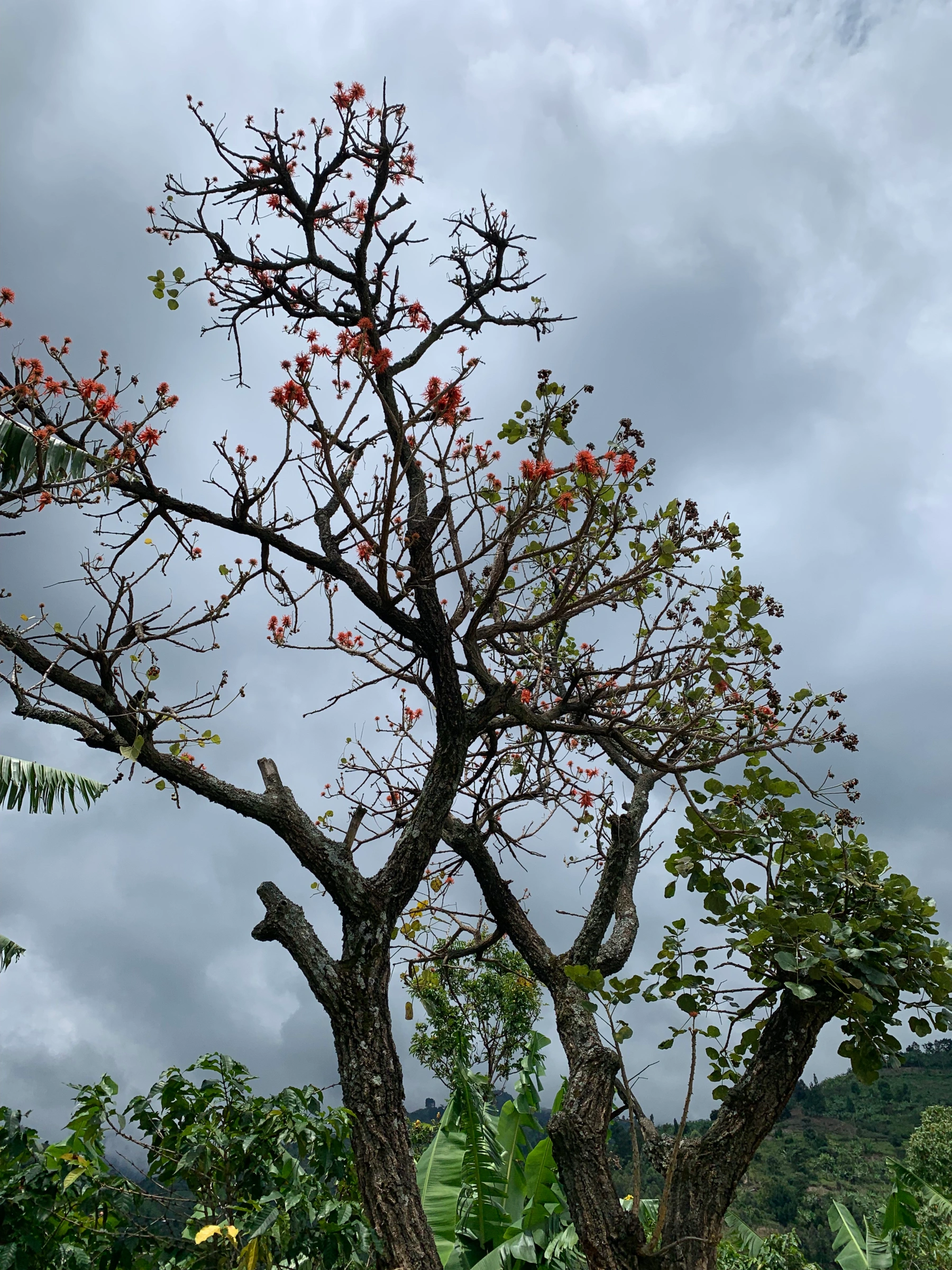 Natural Resource conservation